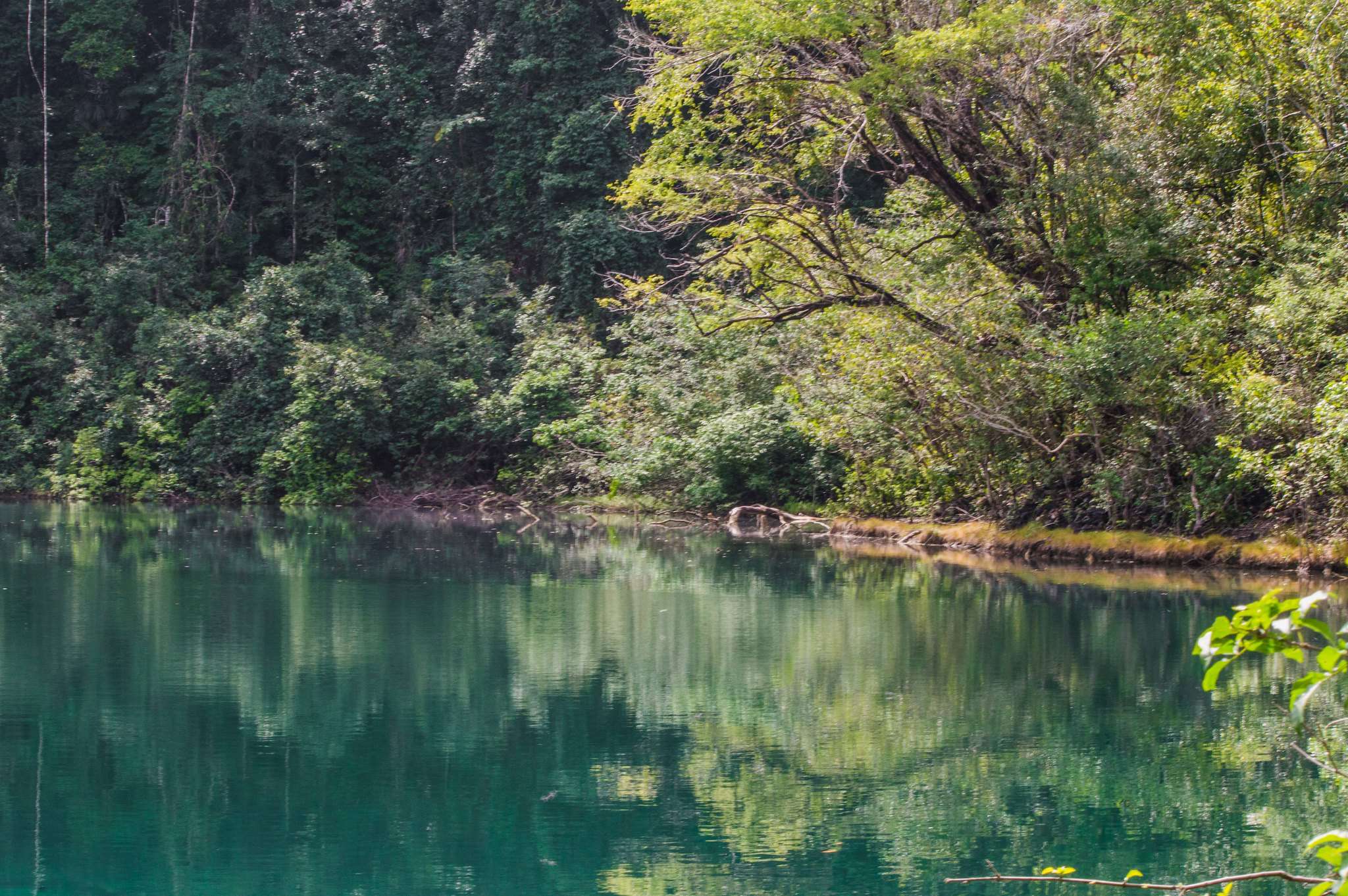 Conap anuncia que en el país hay 350 áreas protegidas