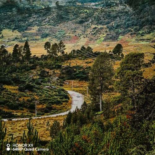 Participe en el concurso de fotografía móvil HONOR Magic Moments 2022