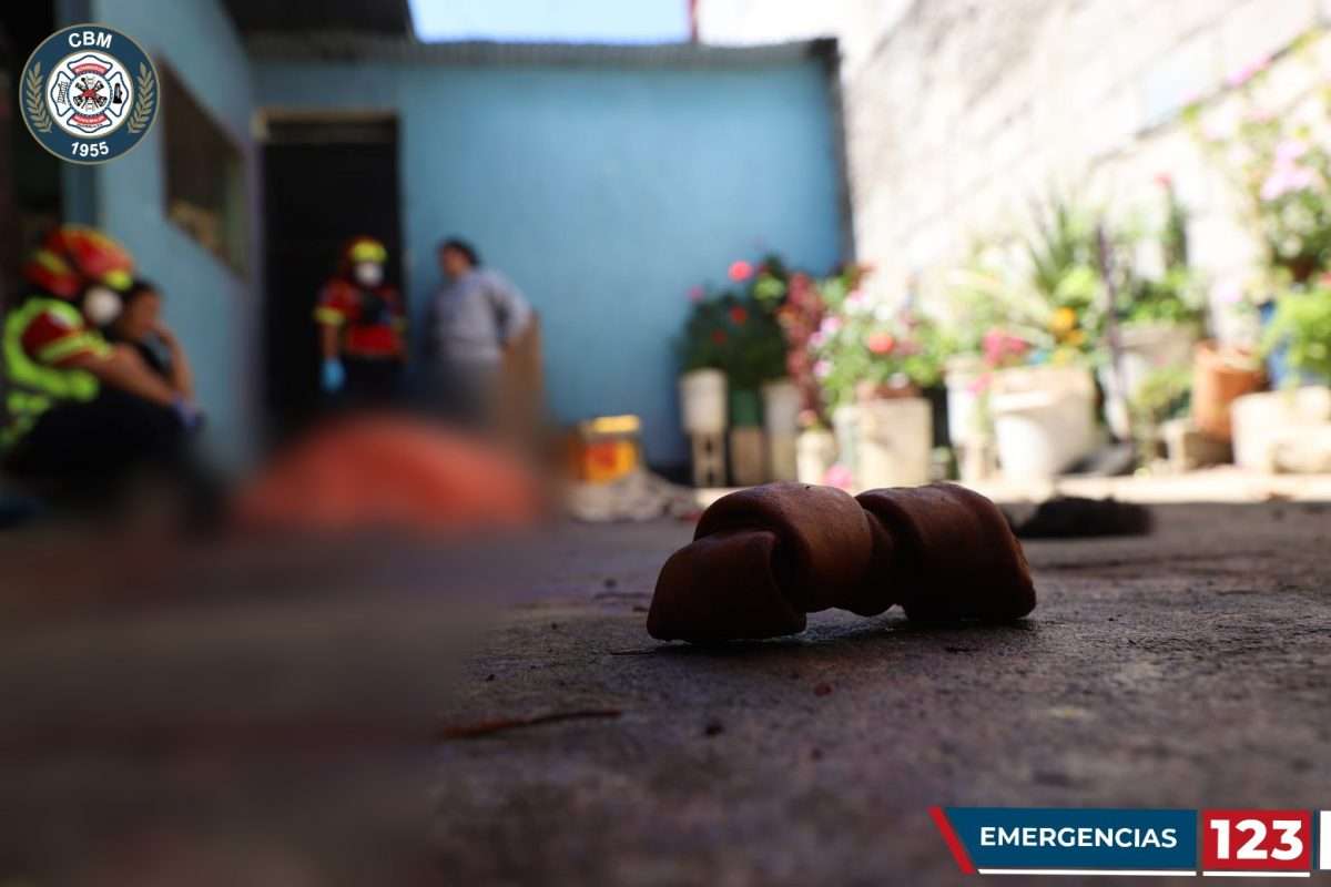 Capturan a dueña de dos Pitbull que causaron la muerte de una mujer de 70 años