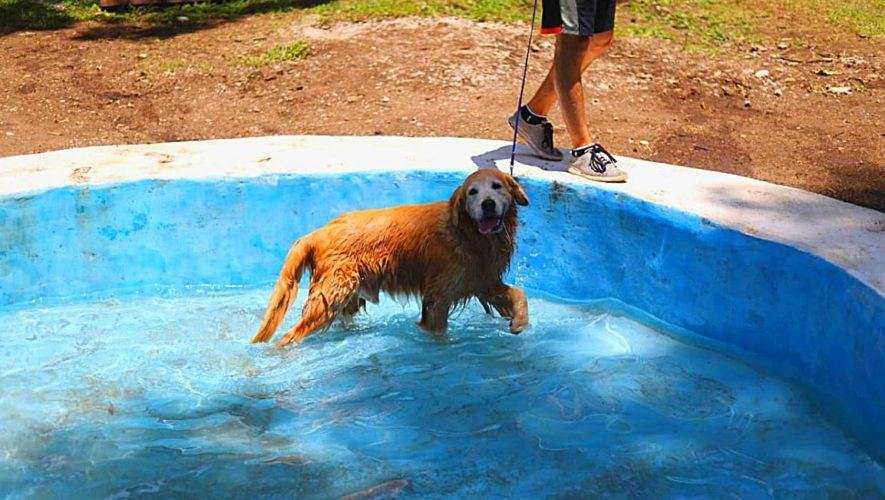 Visite el nuevo parque para mascotas en el Centro Deportivo Erick Barrondo