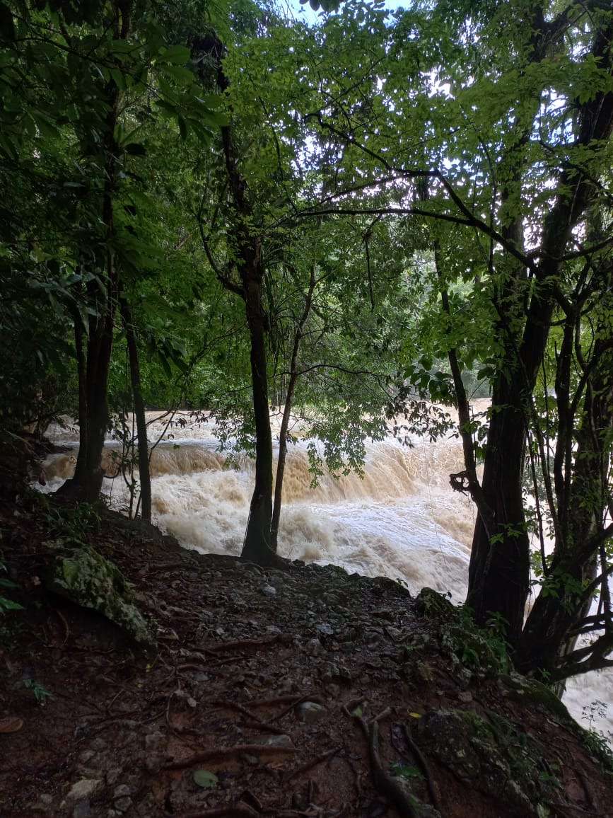 Restringen acceso a pozas de Semuc Champey por aumento del caudal