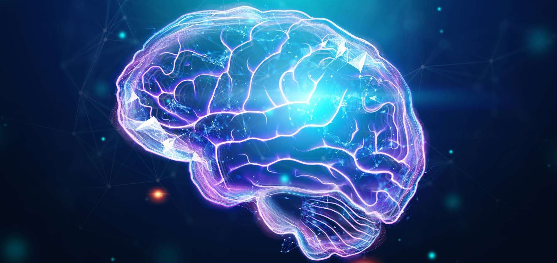 Alzheimer Parkinson cerebro