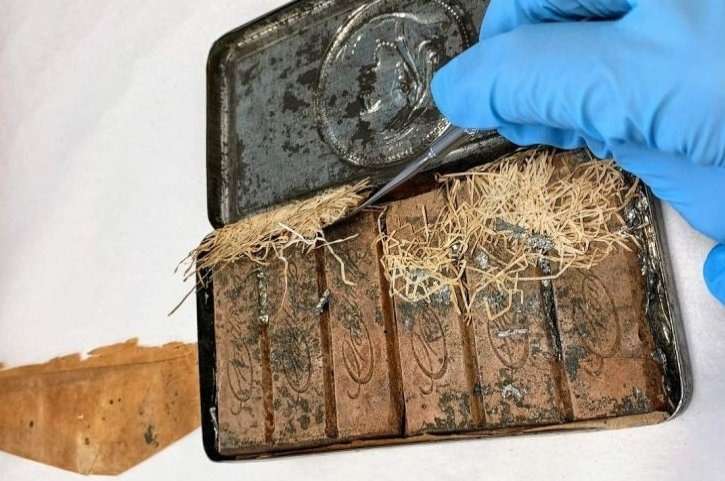 Rowntree Reina Victoria