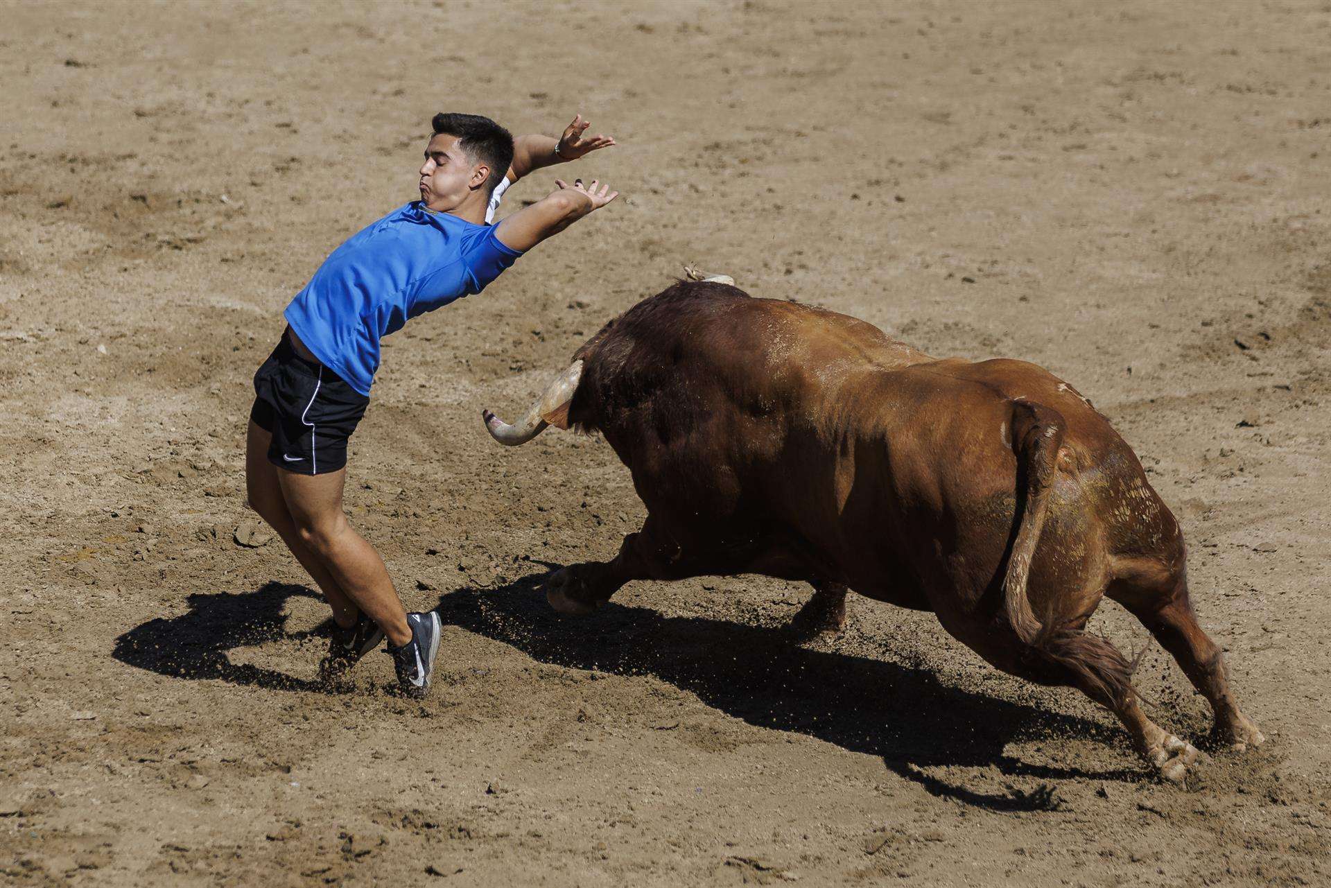 heridos corrida de toros