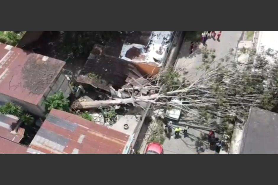 VIDEO | Árbol se desploma y causa problemas en zona 4 de Villa Nueva