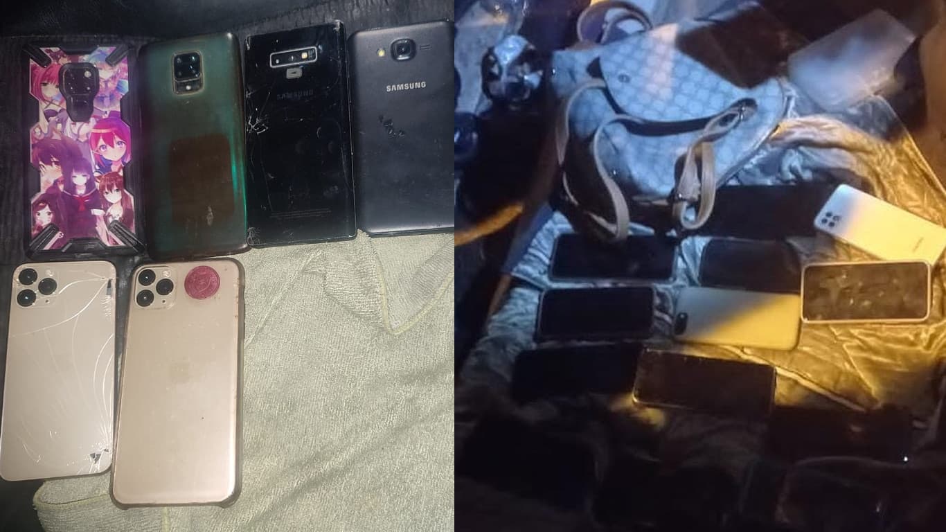 celulares concierto daddy yankee