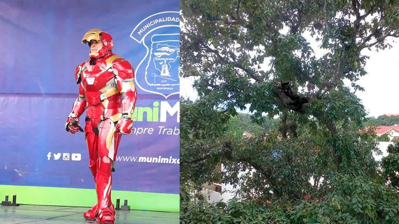 neto-bran-pantera-negra