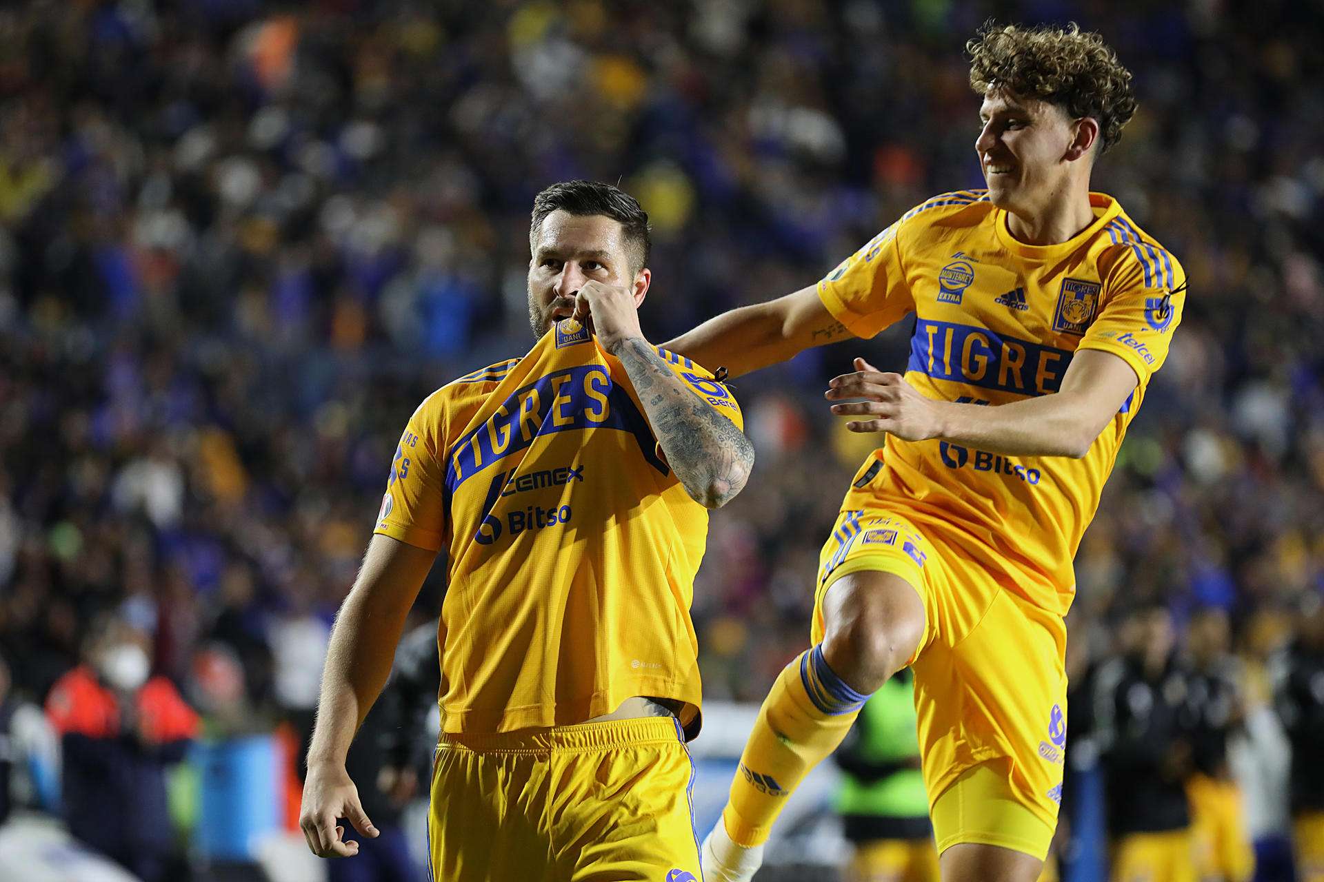 Gignac Tigres