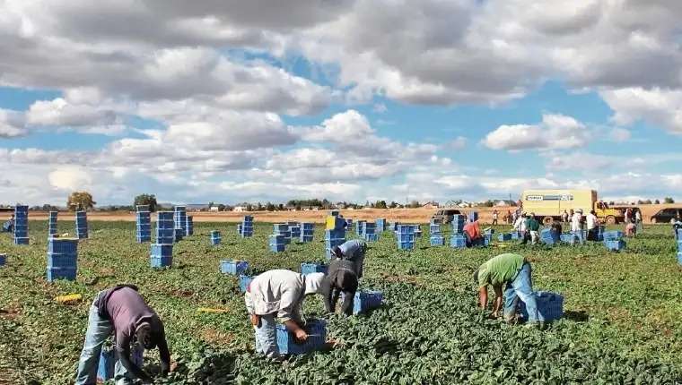 Migrantes trabajo extranjero TPS