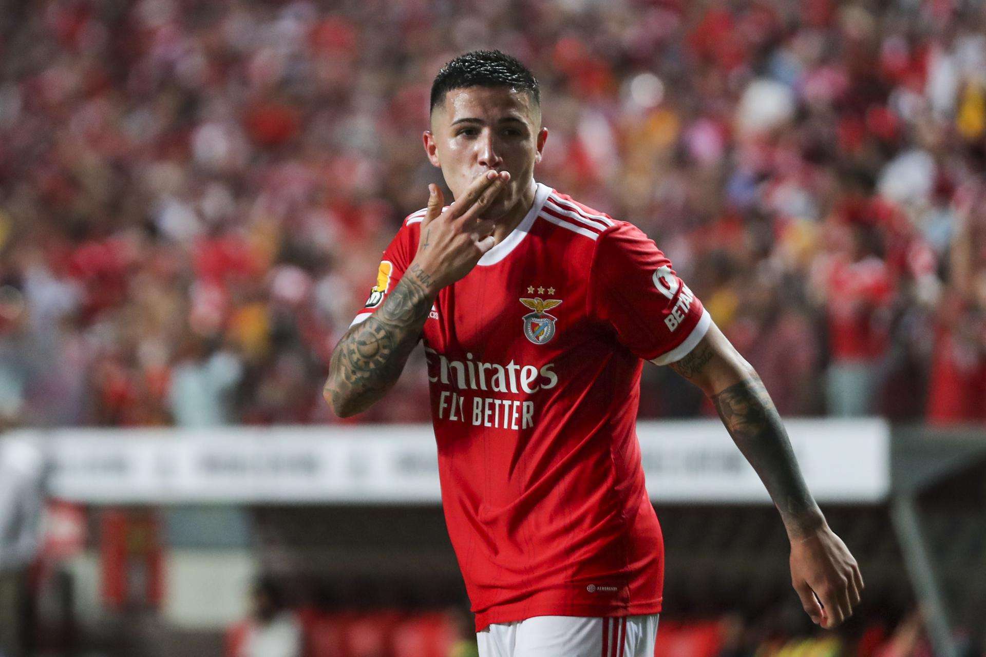 Benfica negocios