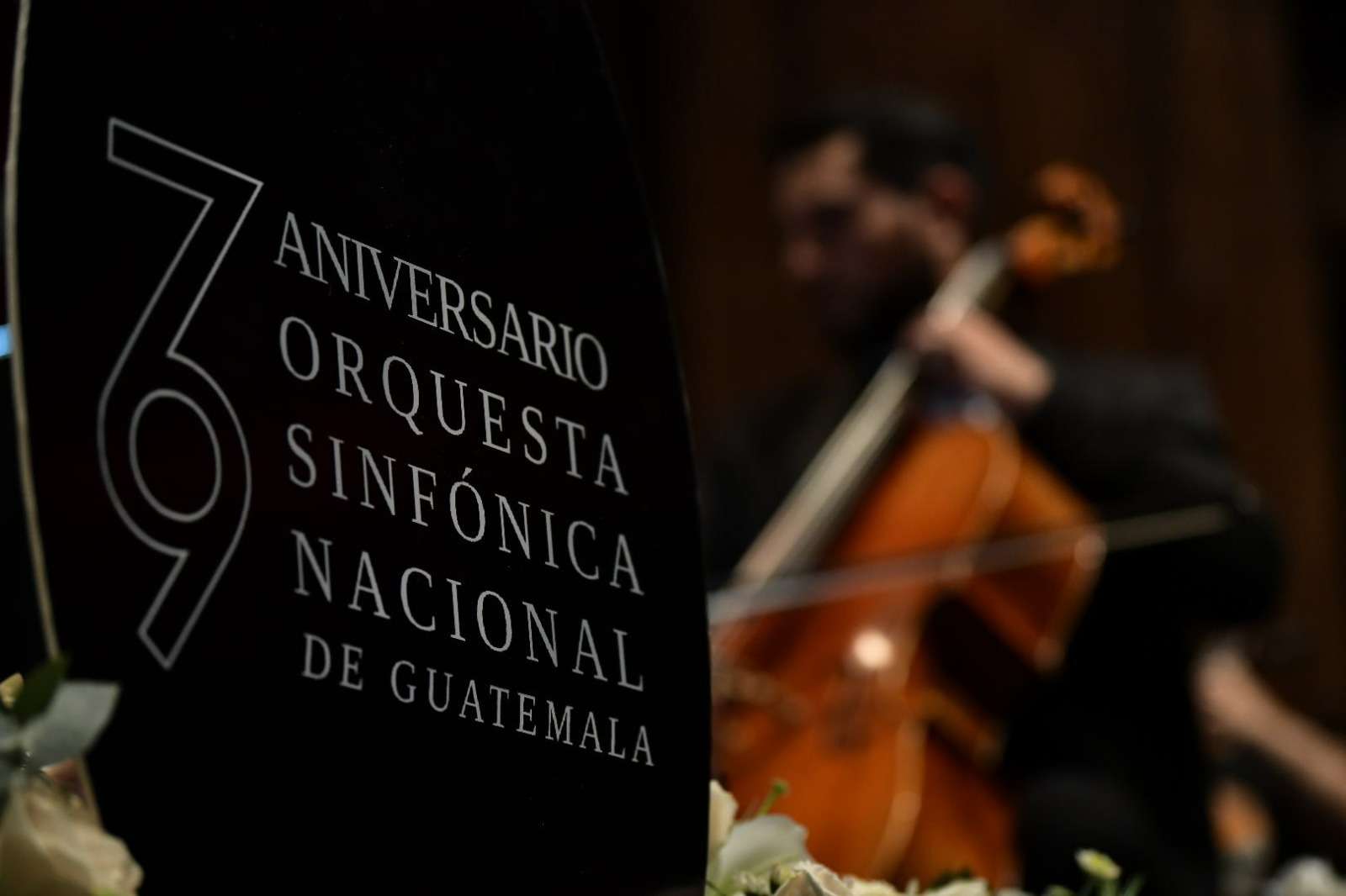 orquesta sinfónica nacional