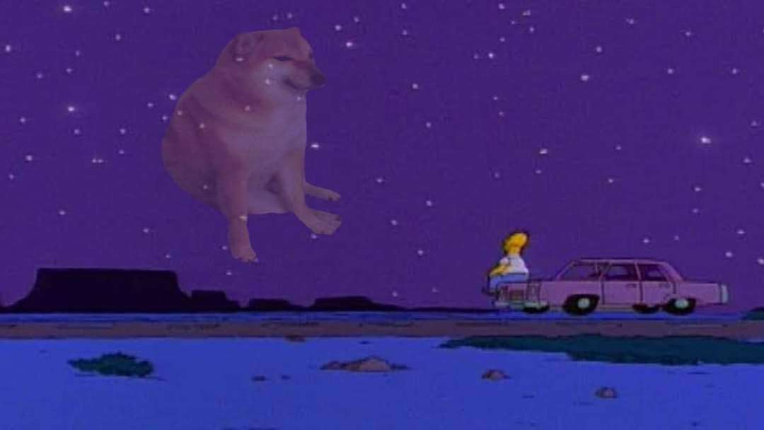 Muere Cheems, el icónico perro de los memes