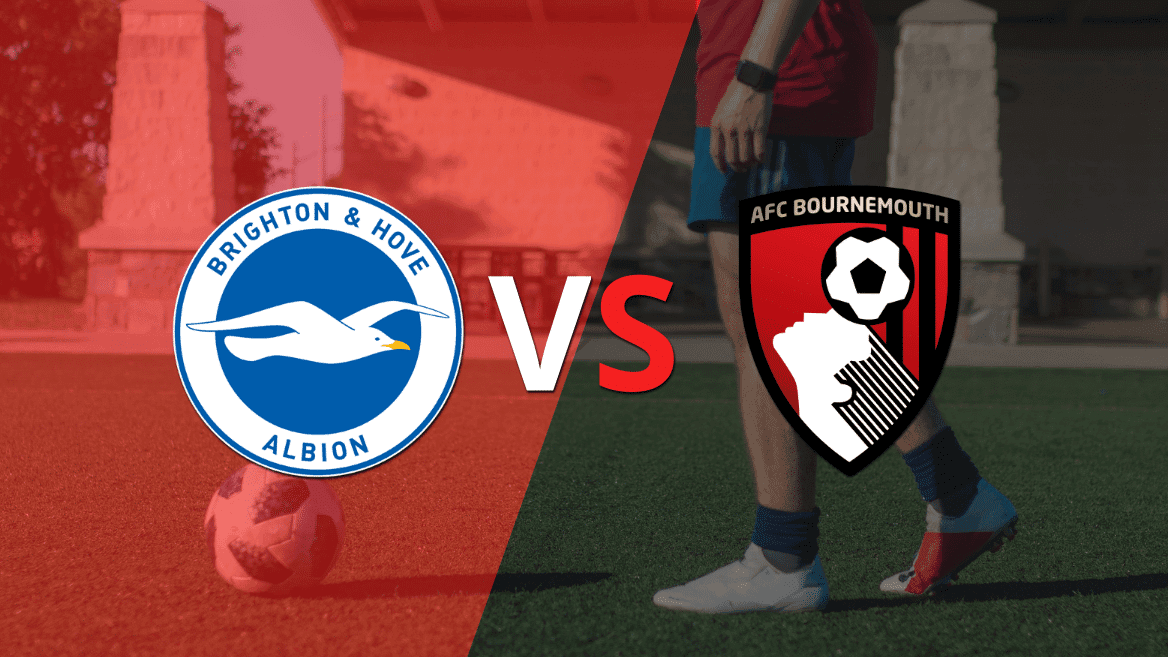 Por la fecha 6 se enfrentarán Brighton and Hove y Bournemouth