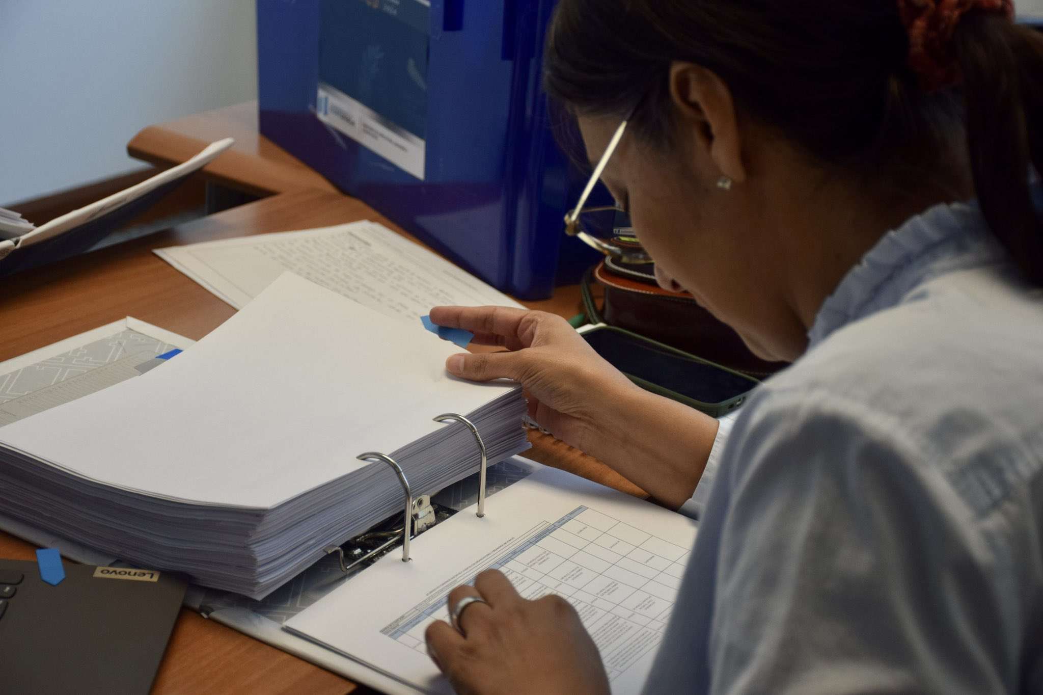 transición gubernamental