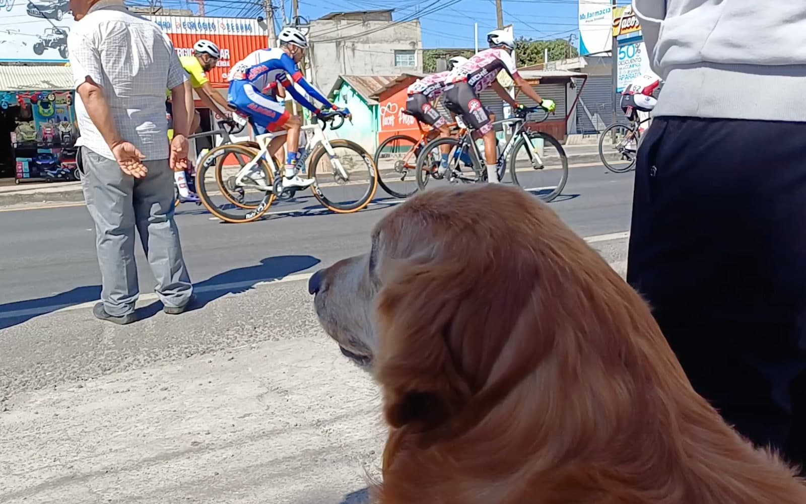 ¿Quién es Jacinto Jas, el espectador de lujo de la Vuelta 62?