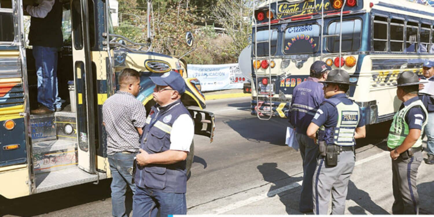 Provial plan navideño