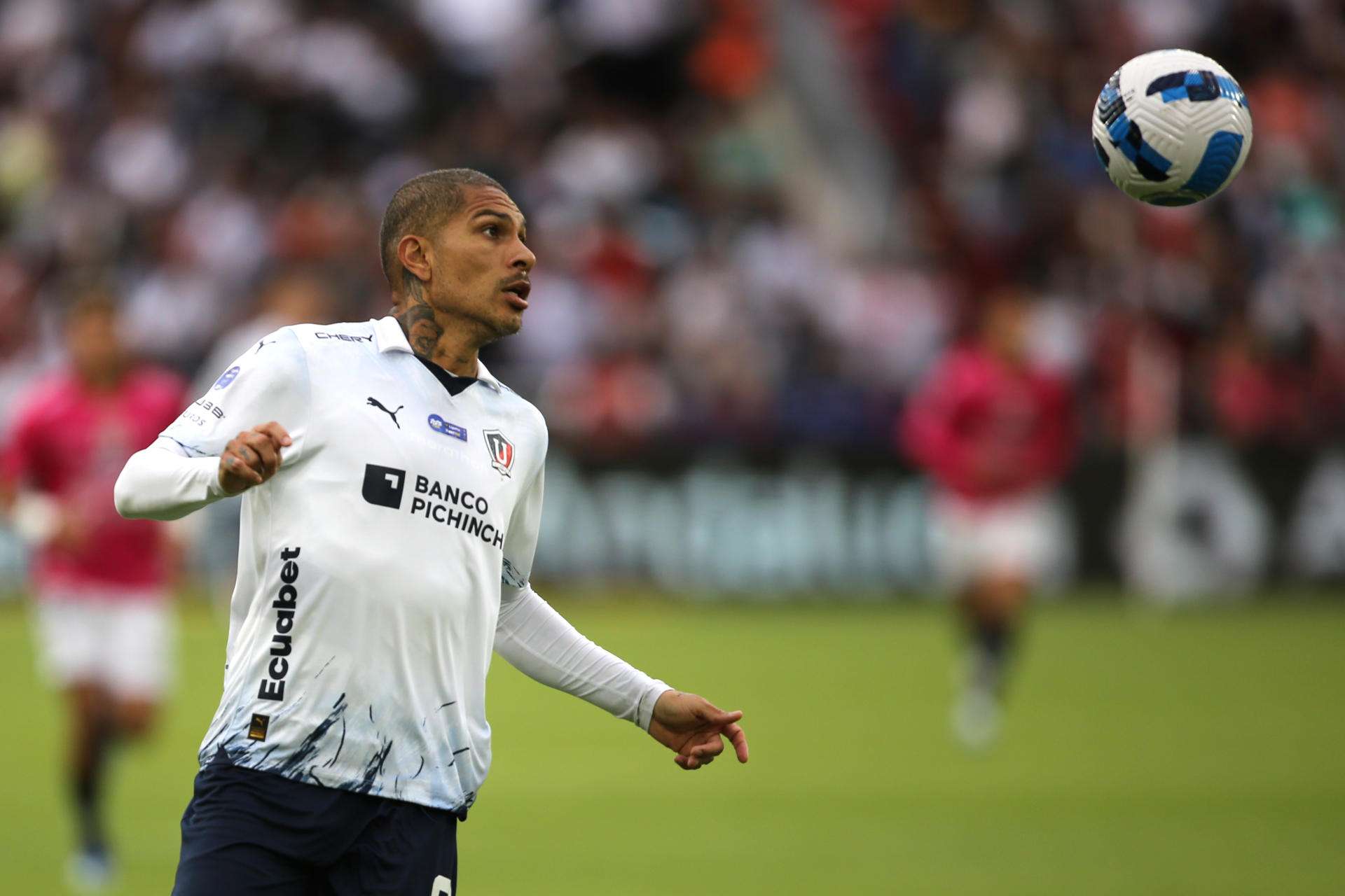 Paolo Guerrero