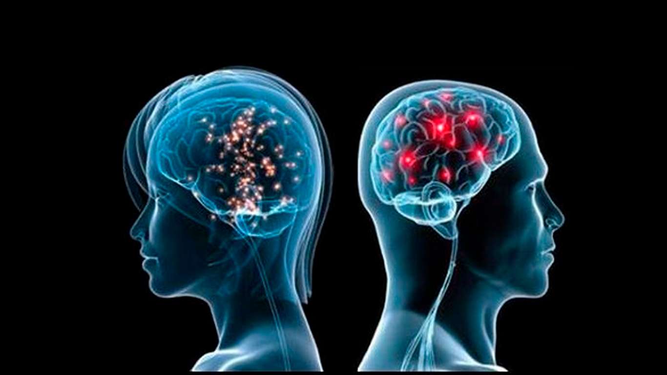 La inteligencia artificial identifica que los cerebros de hombres y mujeres se organizan de forma diferente
