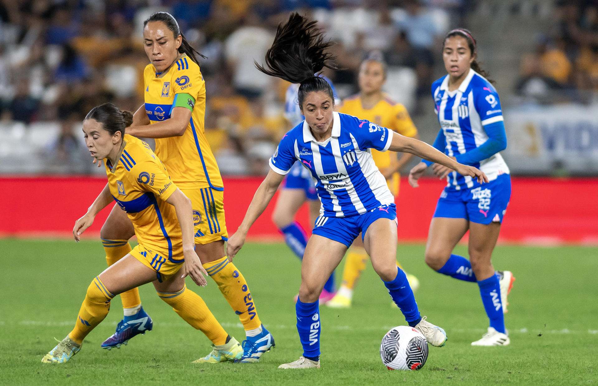 Ana Lucía Martínez Rayadas