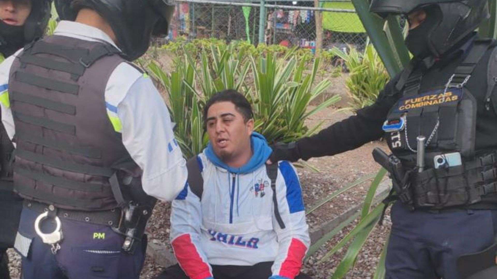 Asaltabuses El Trébol