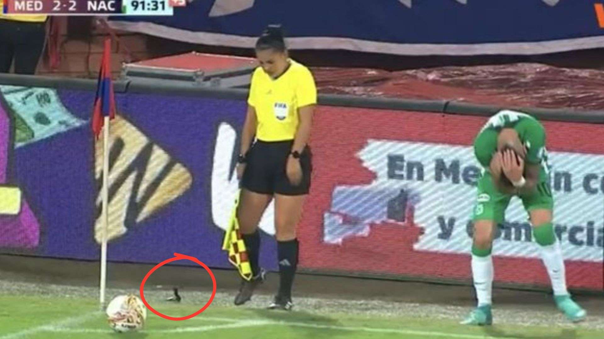 Clásico colombiano cuchillo