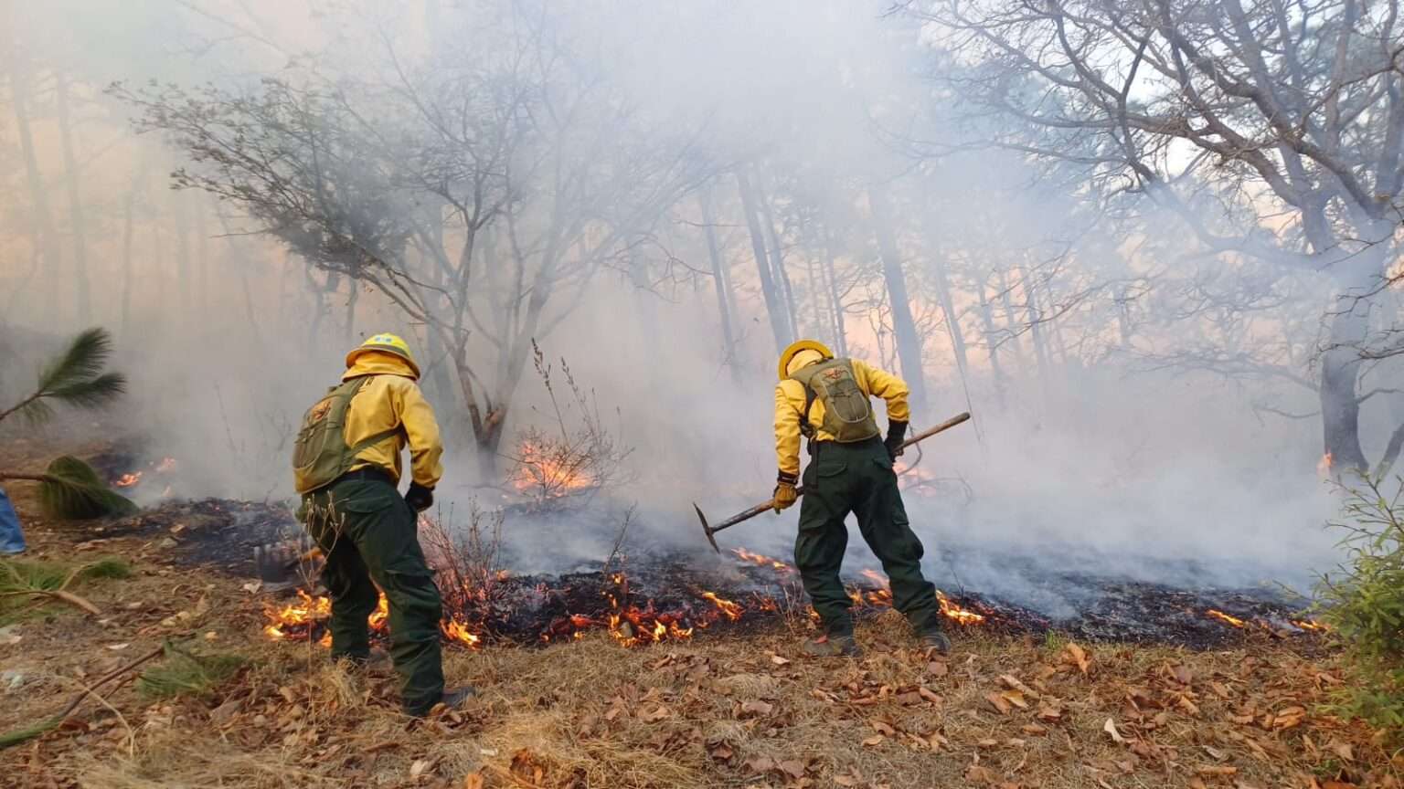 Incendios forestales arrasan con el país: Petén y Alta Verapaz los más afectados