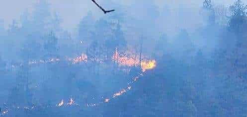 Más de 41 mil hectáreas consumidas por llamas en Guatemala