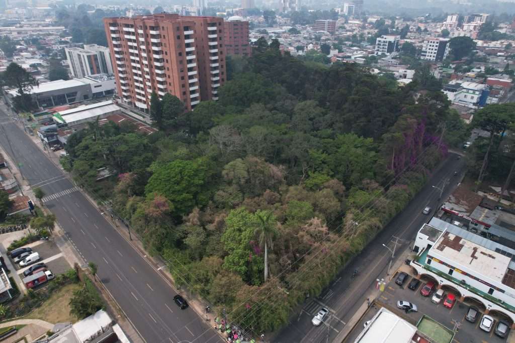 Bosque del Acueducto podría ser destruido por construcción de proyecto inmobiliario