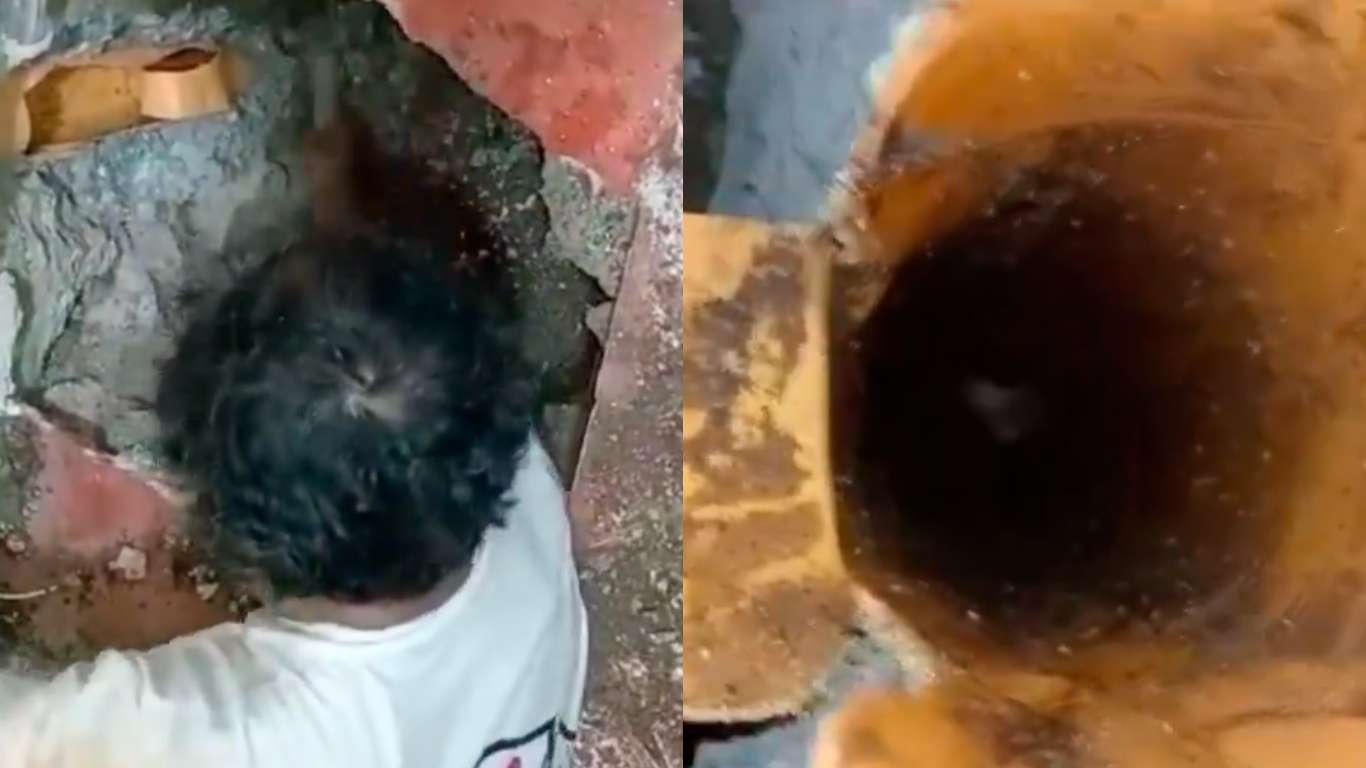 bomberos rescatan perro