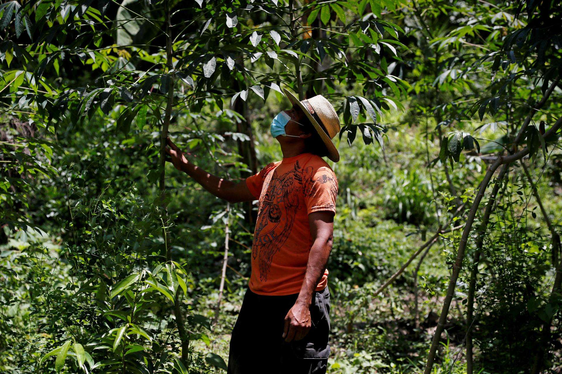 El IICA resalta programa de seguridad alimentaria en Guatemala con apoyo de EE.UU.