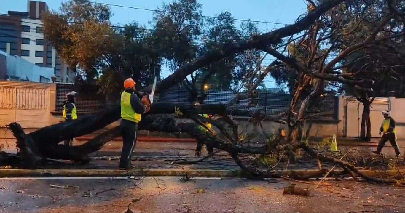 Fuertes lluvias, derrumbes y árboles caídos provocan congestión vehicular en distintas zonas de la capital