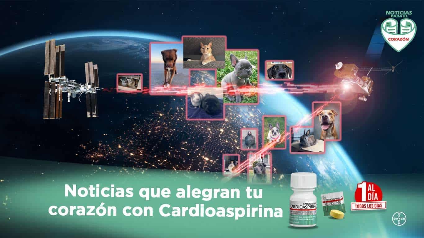 Nasa bayer nota positiva