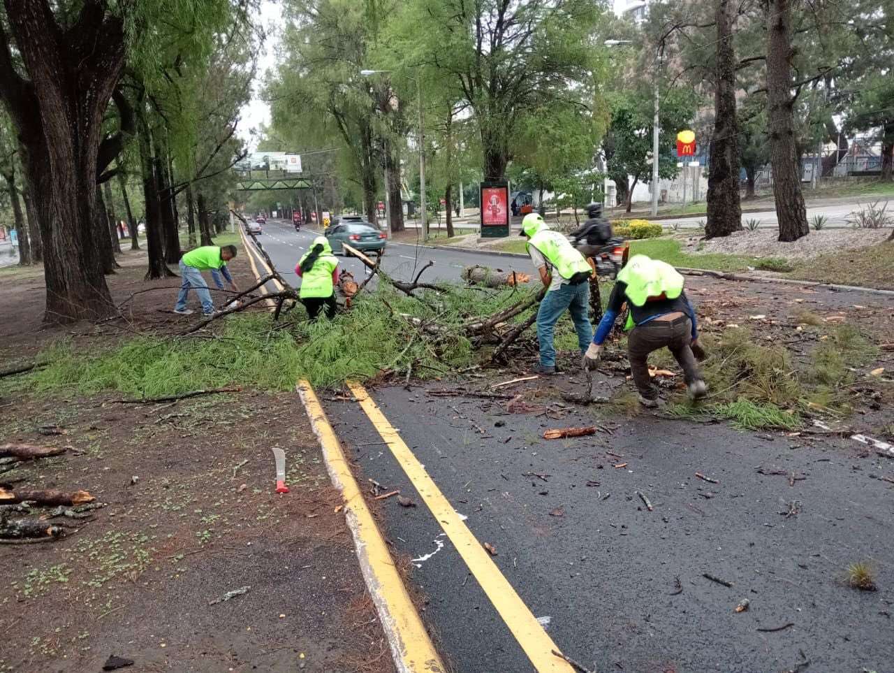 ramas bulevar Vista Hermosa