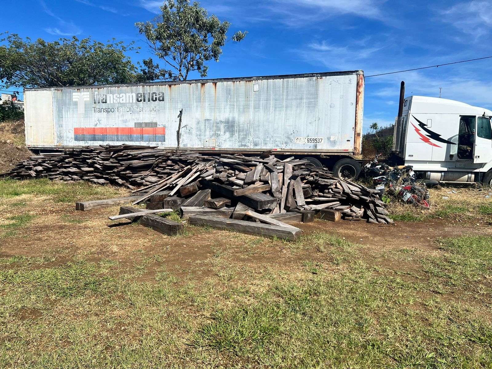 Descubren e incautan 10 bloques de cedro en presunta tala ilegal en Moyuta