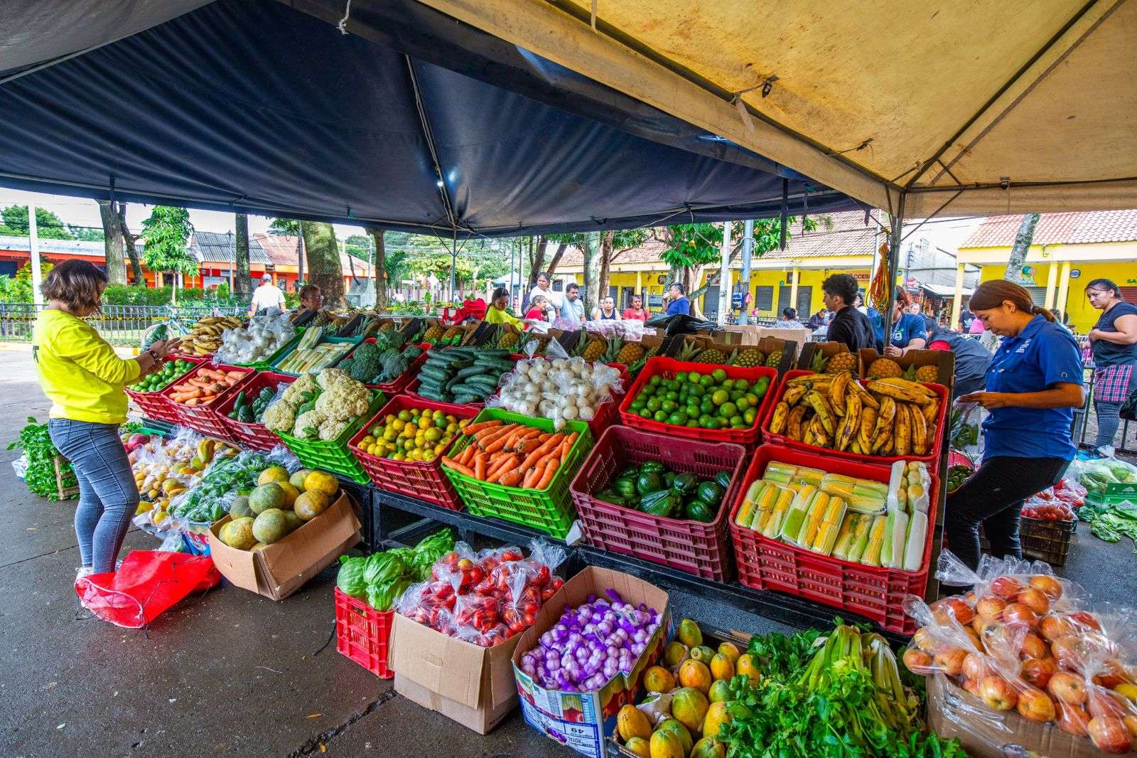 el salvador precios bajos