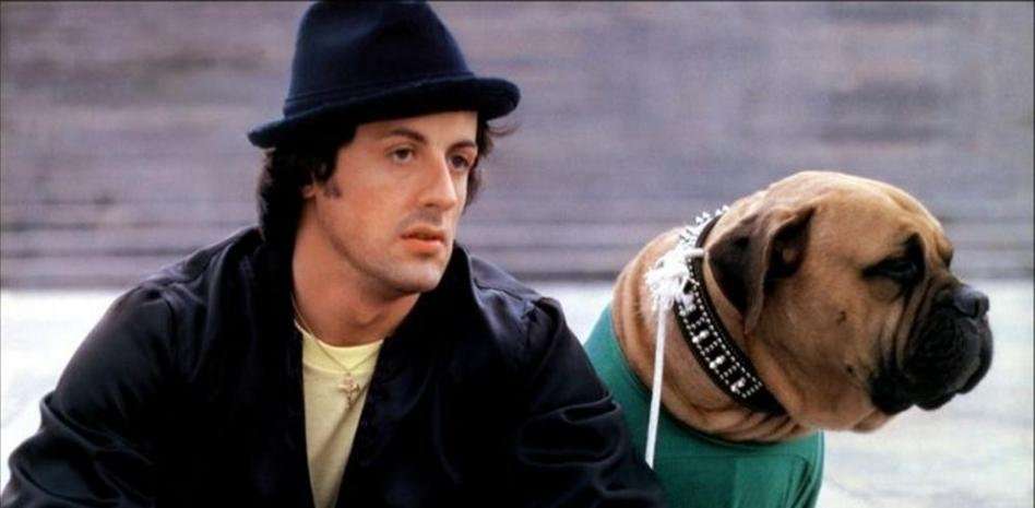 stallone y su perro