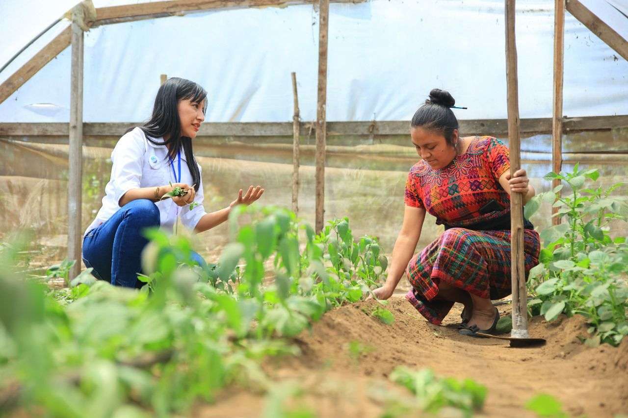 MAGA lanza convocatoria para profesionales agropecuarios en Guatemala