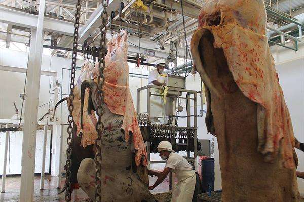 Empresarios de la frontera sur de México denuncian el ingreso ilegal de carne de Guatemala