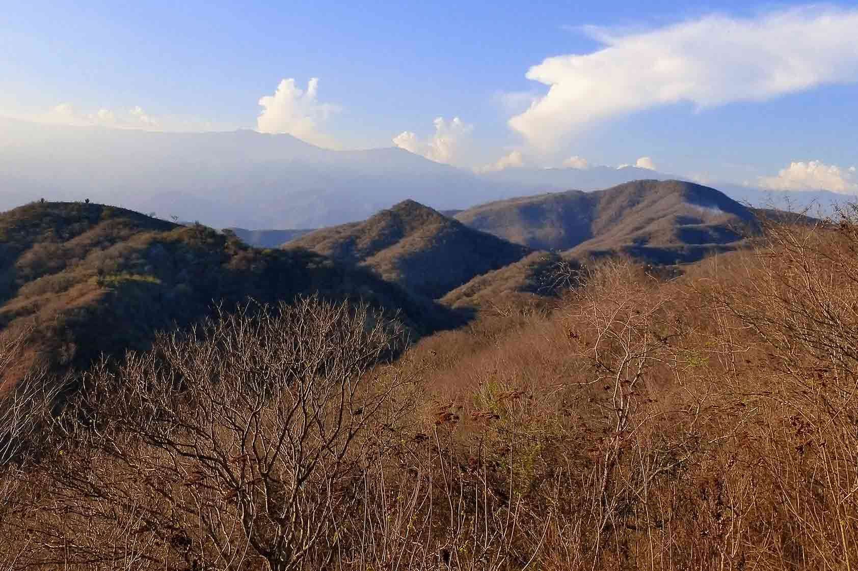 ¡Biodiversidad en amena! Así impacta la temporada seca en Guatemala