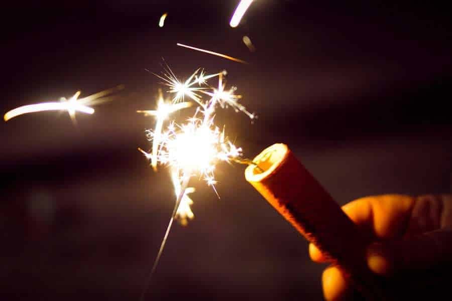 Niños, mascotas y cohetillos ¿Cómo proteger a todos en fin de año?