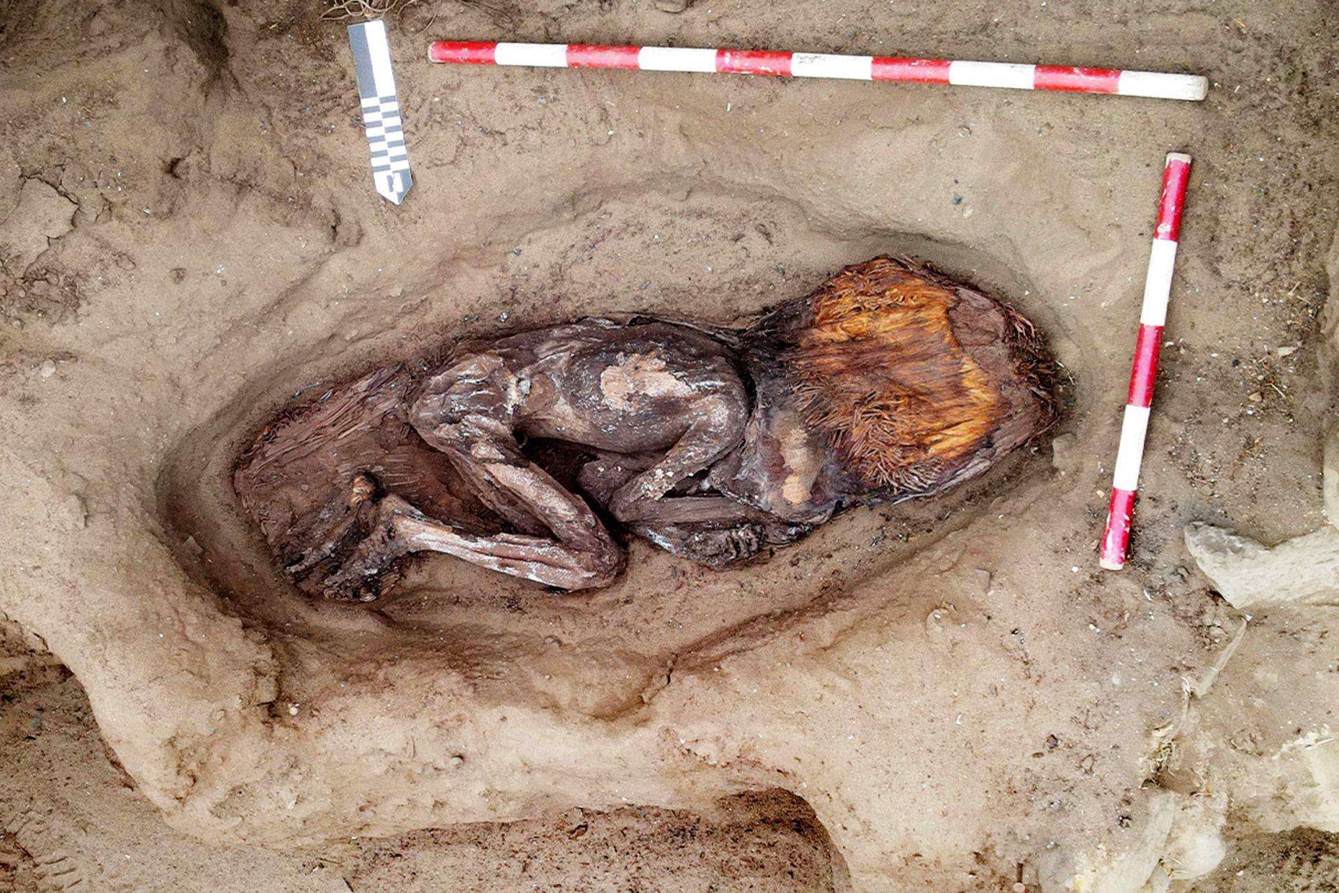 Descubren la tumba de una mujer de casi 5 mil años en civilización más antigua de América