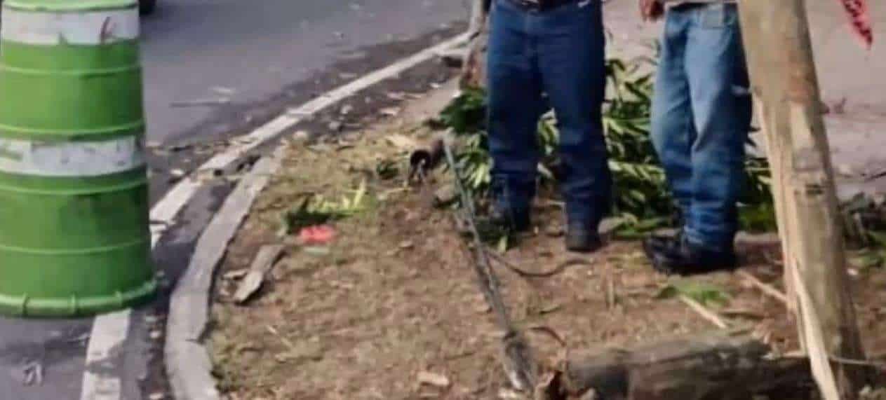 Poste derribado en colonia Las Charcas; responsable huye del lugar