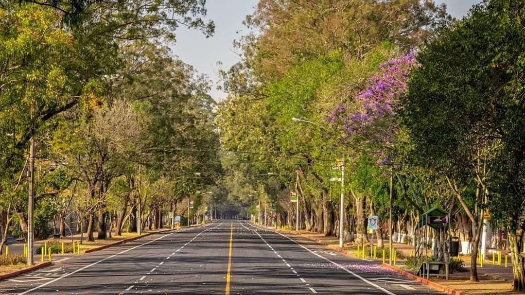 Avenida Simeón Cañas será habilitada como parqueo temporal durante Semana Santa