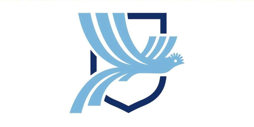 logo selección nacional