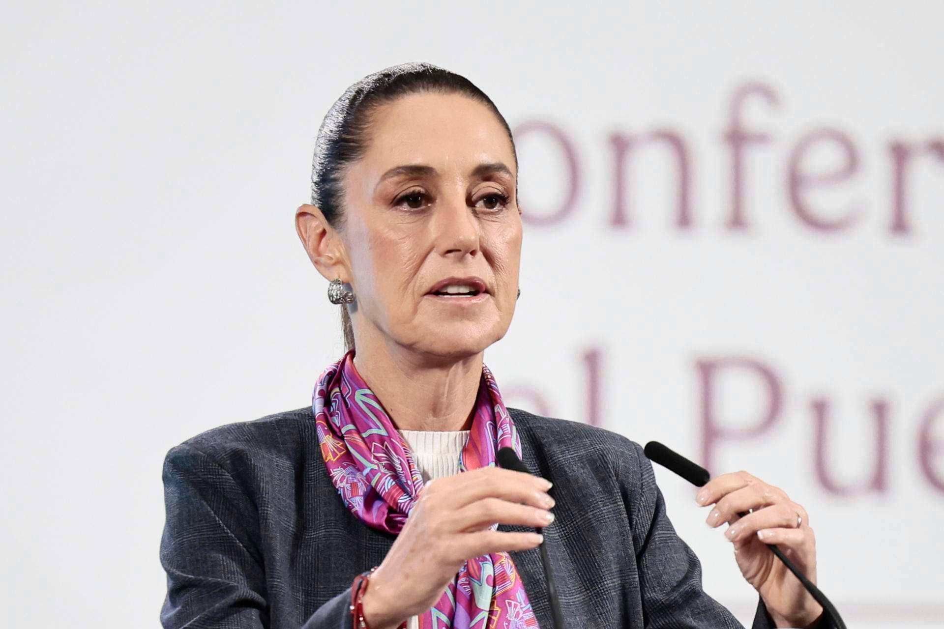 La presidenta de México, Claudia Sheinbaum, habla en una rueda de prensa este miércoles, en el Palacio Nacional, en Ciudad de México (México). EFE/José Méndez