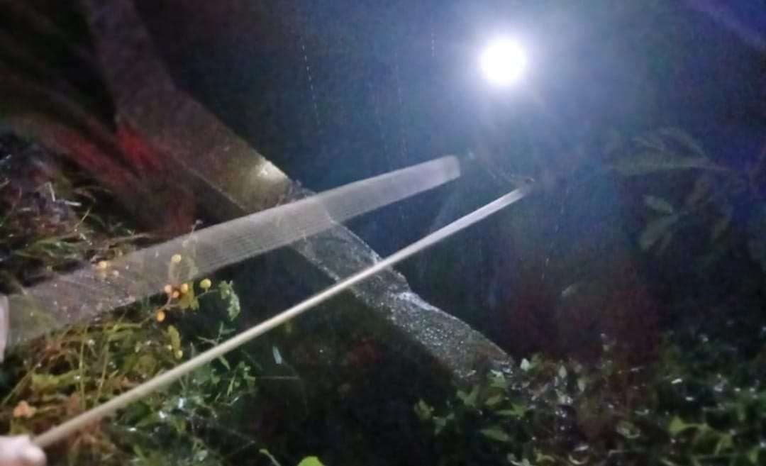 ¡Arrastrado por la corriente! Niño de 5 años desaparece en río Pital