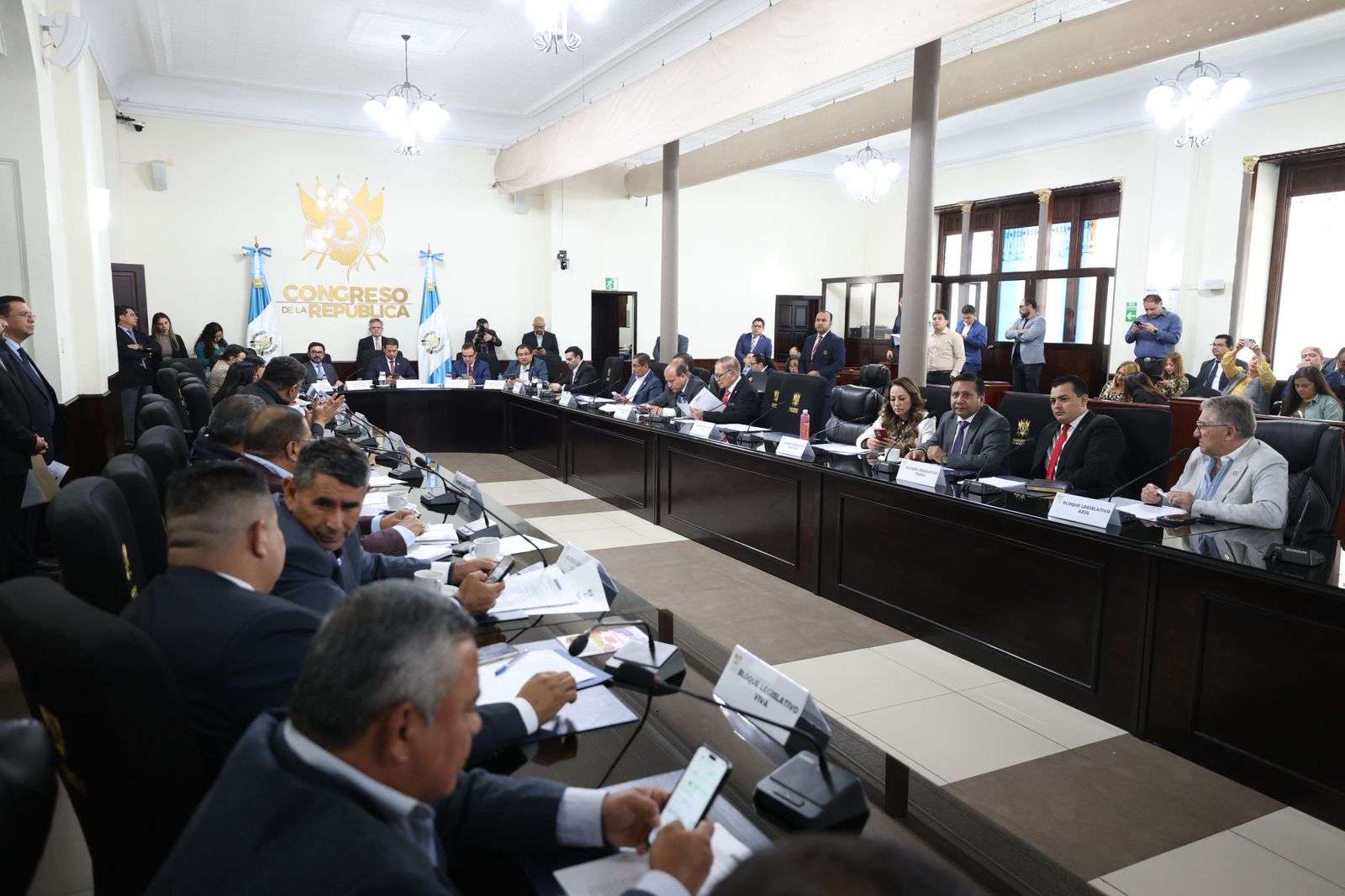 Diputados cuestionan gestión del CIV y sugieren destitución del titular