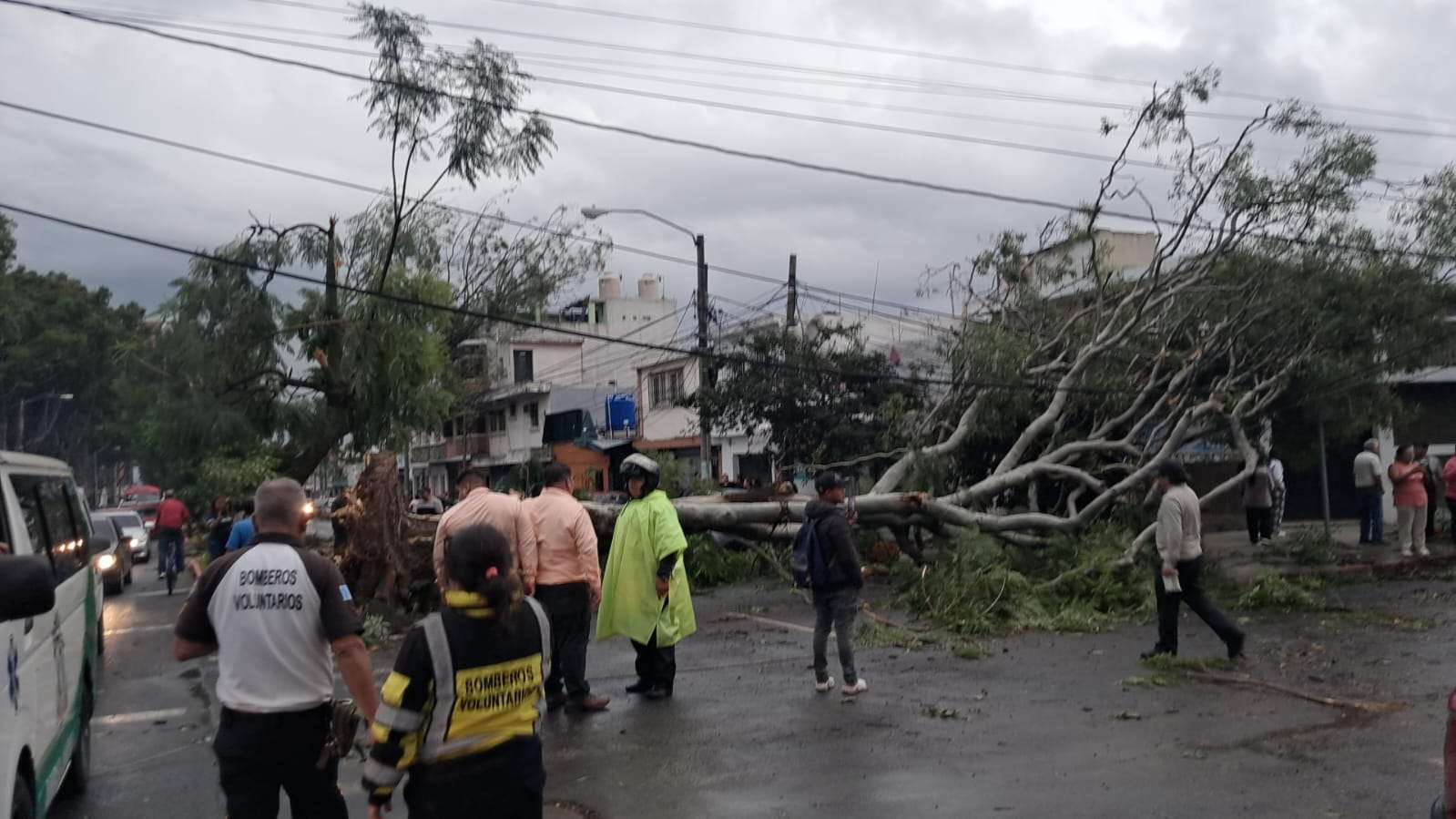 EN IMAGÉNES | Tornado causa estragos en varias zonas de la capital