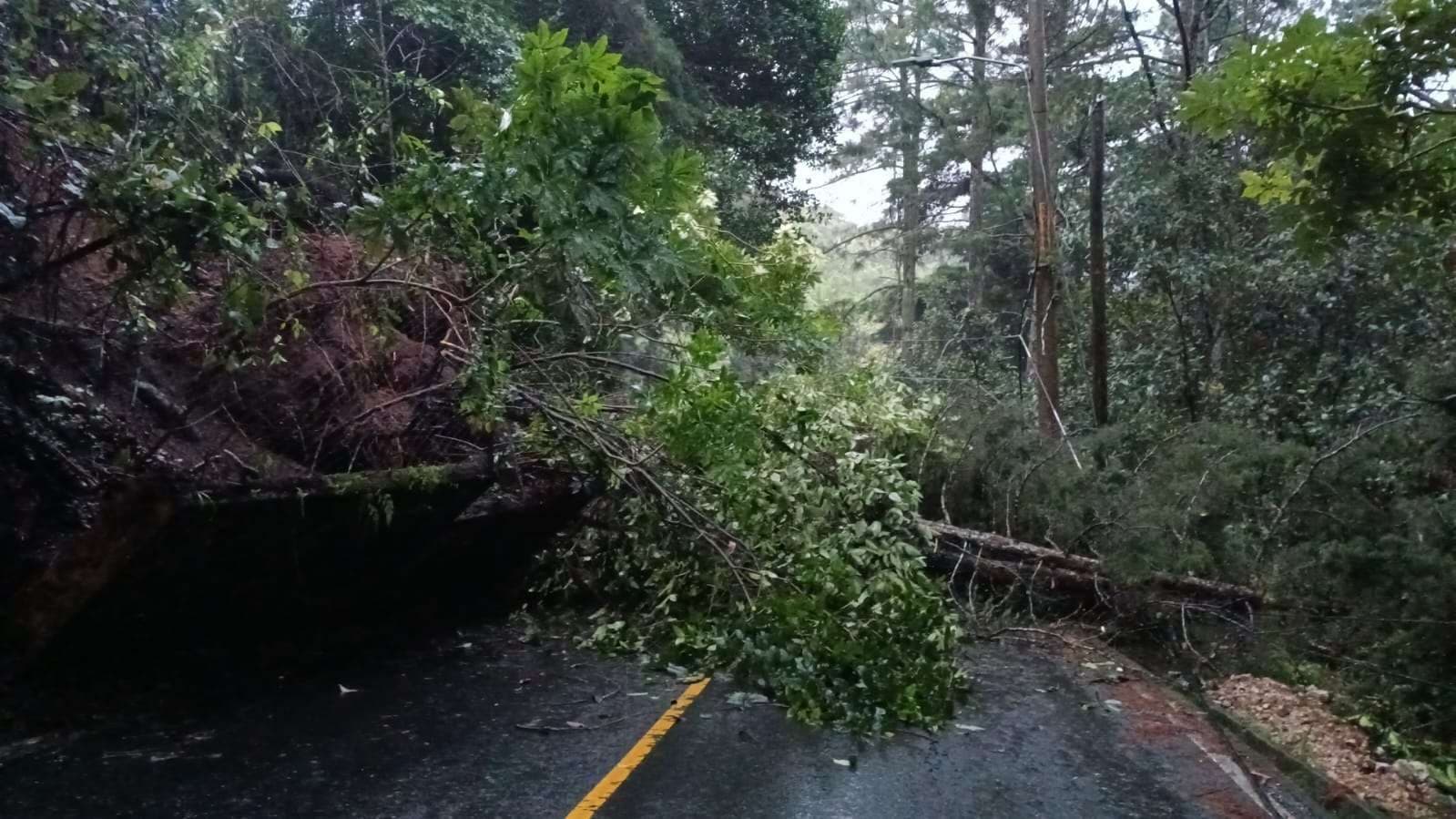 Derrumbe en San José del Manzano provoca cierre total y tránsito detenido