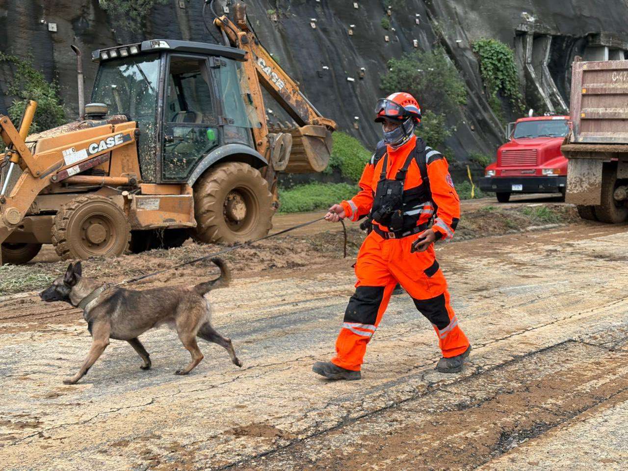 Perros de rescate trabajan para localizar a hombre desaparecido tras derrumbe en Carretera a El Salvador